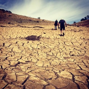 Dry, dry lake sides. The cracks were 1' deep.