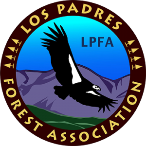 LPFA_logo_TRANSPARENT